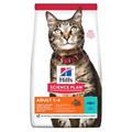 HILL'S CAT MANTENIMENTO TONNO GR 300