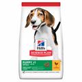 HILL'S DOG PUPPY MEDIUM POLLO KG 2,5