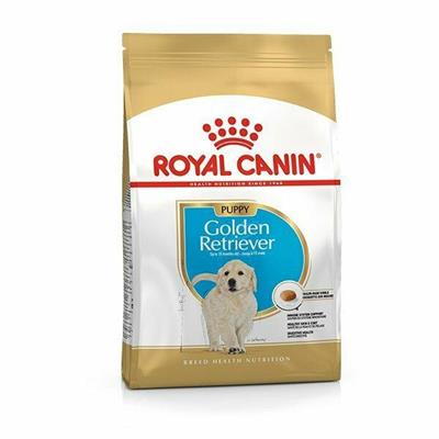 GOLDEN RETRIVER PUPPY ROYAL CANIN KG 3