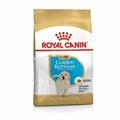 GOLDEN RETRIVER PUPPY ROYAL CANIN KG 12