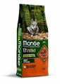 MONGE BWILD DOG GF ANATRA/PATATE KG 12