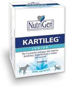 KARTILEG JUNIOR 60 TAVOLETTE GR 1