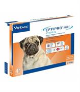 EFFIPRO DUO CANE S 4 PIP