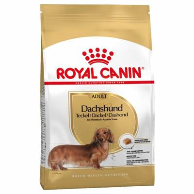 DACHSHUND ROYAL CANIN KG 1,5