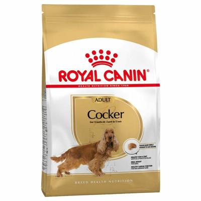 COCKER ROYAL CANIN KG 3