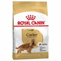 COCKER ROYAL CANIN KG 3