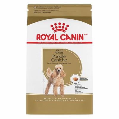 POODLE ROYAL CANINGR 500