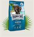 HAPPYDOG KARIBIK PELAGICO/PATATE KG 4