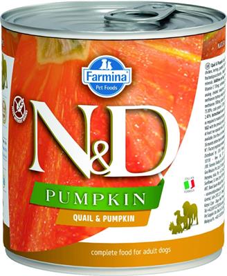 ND UM DOG PUMPKIN QUAGLIA GR 285