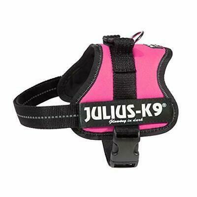 REC JULIUSK9POWER PET.NYL.M I,CM49-67,KG7-15,ROSA SCURO