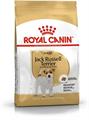 JACK RUSSEL ROYAL CANIN KG 1,5