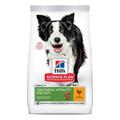 HILL'S DOG SENIOR VITALITY MEDIUM POLLO KG 2,5