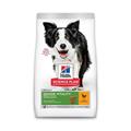 HILL'S DOG SENIOR VITALITY MEDIUM POLLO KG 12