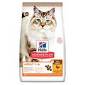 HILL'S CAT NO BLUTEN POLLO KG 1,5