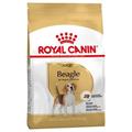 BEAGLE ROYAL CANIN KG 3