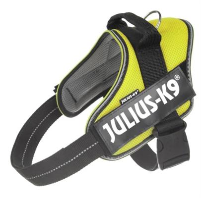 REC JULIUSK9 POW-PETT.MIS1,PETTO63-85CM, GIALLO