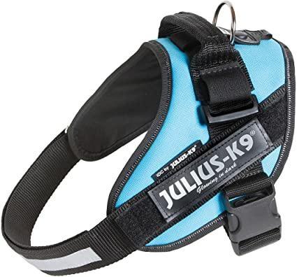 REC JULIUSK9 POW-PETT.MIS1,PETTO63-85CM, ACQUA MARINA