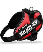 REC JULIUSK9POWER PET.NYL.M IM I,CM40-53,KG4-7,ROS