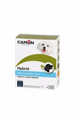 CAMON HYBRID 60 CPR