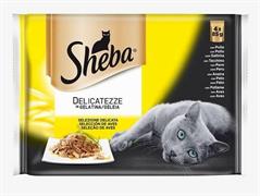 SHEBA BUSTE DELICATEZZE GELATINA POLLO 4X85