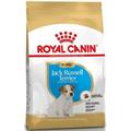 JACK RUSSEL PUPPY ROYAL CANIN KG 1,5