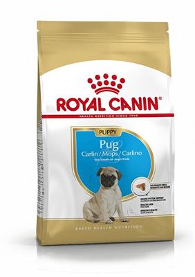 PUG PUPPY ROYAL CANIN GR 500