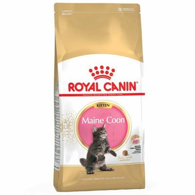 KITTEN MAINE COON ROYAL CANIN KG 2