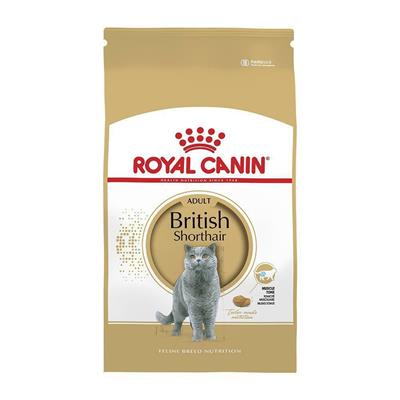 BRITISH SHORTHAIR ROYAL CANIN KG 2