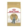 BRITISH SHORTHAIR ROYAL CANIN KG 2