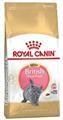 KITTEN BRITISH SHORTHAIR ROYAL CANIN GR 400