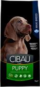 CIBAU PUPPY MAXI KG 12