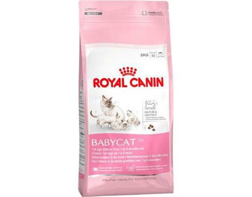 BABYCAT ROYAL CANIN KG 2