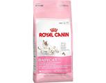 BABYCAT ROYAL CANIN KG 2