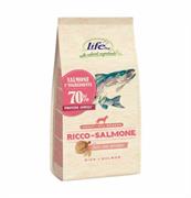 LIFEDOG SALMONE KG 12