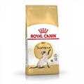 SIAMESE ROYAL CANIN KG 2