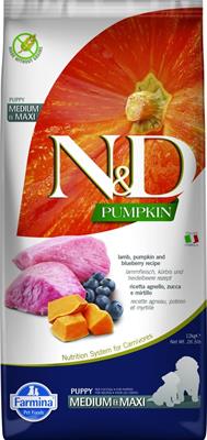 ND DOG PUMPKIN PUPPY MEDIUM/MAXI AGNELLO/MIRTILLO KG 12