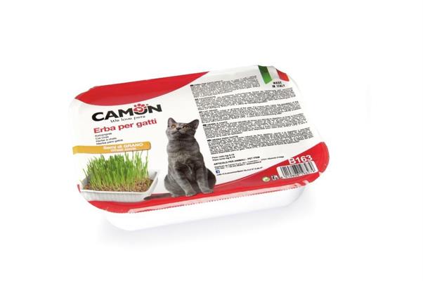 CAMON ERBA GATTO CON SEMI DI GRANO