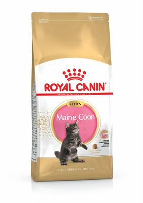 KITTEN MAINE COON ROYAL CANIN KG 4