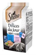 SHEBA DELICES DU JOUR GELATINA 6 X GR 50 SALMONE NEW