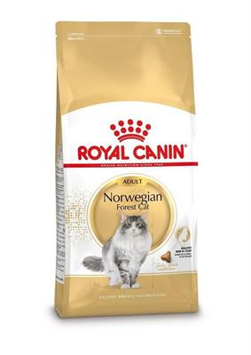 NORVEGESE ROYAL CANIN KG 2