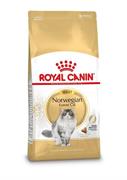 NORVEGESE ROYAL CANIN KG 2