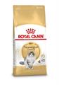 NORVEGESE ROYAL CANIN KG 2