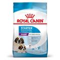 GIANT STARTER MOTHER/BABY DOG ROYAL CANIN KG 3,5