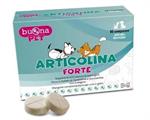 ARTICOLINA FORTE 60 COMPRESSE