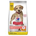 HILL'S DOG PUPPY LARGE PERFECT DIGESTION KG 12