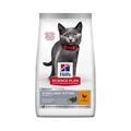 HILL'S KITTEN STERILIZED POLLO KG 1,5