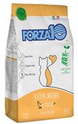 FORZA 10 KITTEN MANTENIMENTO KG 1 POLLO