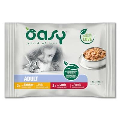 OASY CAT BOCCONCINI CARNE MPACK 4 X GR 85