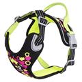 PETTORINA WEEKEND WARRIOR NEON 45-60