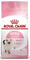 KITTEN CAT ROYAL CANIN KG 1,2